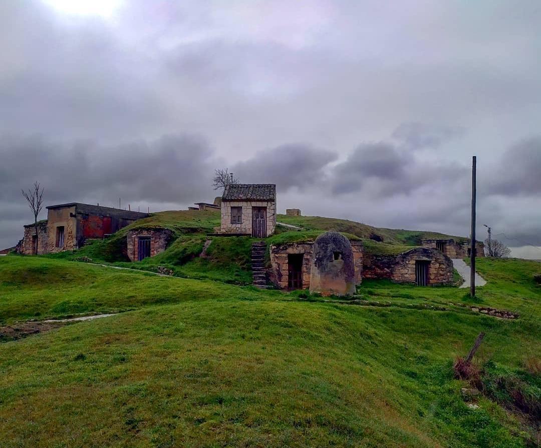 Bodegas